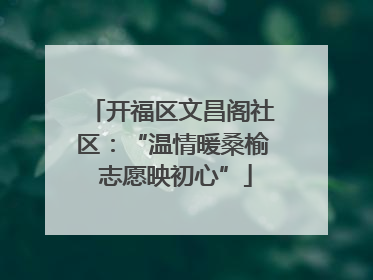 开福区文昌阁社区：“温情暖桑榆 志愿映初心”