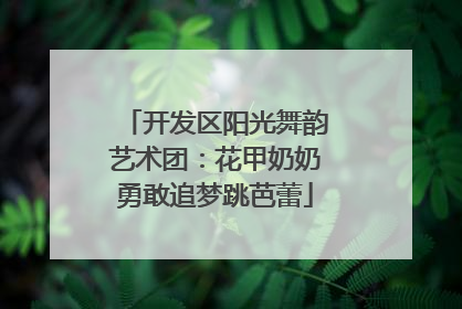 开发区阳光舞韵艺术团：花甲奶奶勇敢追梦跳芭蕾