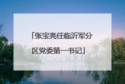 张宝亮任临沂军分区党委第一书记