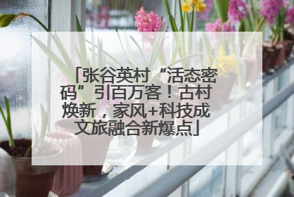 张谷英村“活态密码”引百万客！古村焕新，家风+科技成文旅融合新爆点