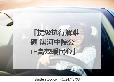 提级执行解难题 漯河中院公正高效暖民心