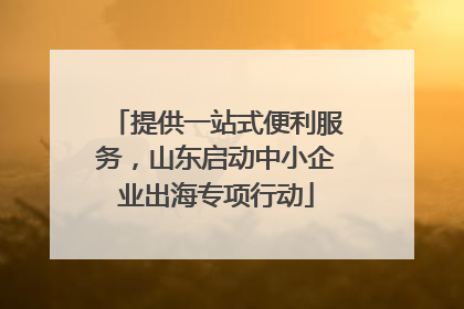 提供一站式便利服务，山东启动中小企业出海专项行动