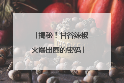揭秘！甘谷辣椒火爆出圈的密码