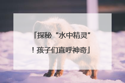 探秘“水中精灵”！孩子们直呼神奇