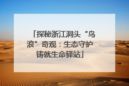 探秘浙江洞头“鸟浪”奇观：生态守护铸就生命驿站