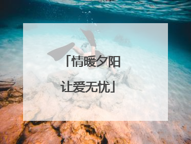 情暖夕阳 让爱无忧