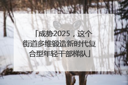 成势2025，这个街道多维锻造新时代复合型年轻干部梯队