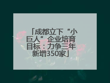 成都立下“小巨人”企业培育目标：力争三年新增350家