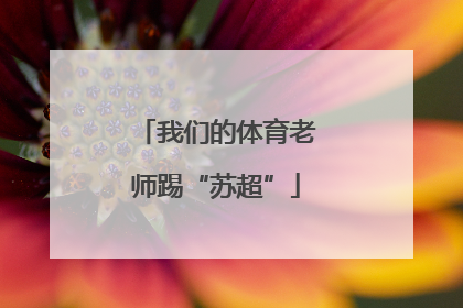 我们的体育老师踢“苏超”