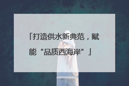 打造供水新典范，赋能“品质西海岸”
