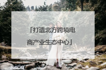 打造北方跨境电商产业生态中心