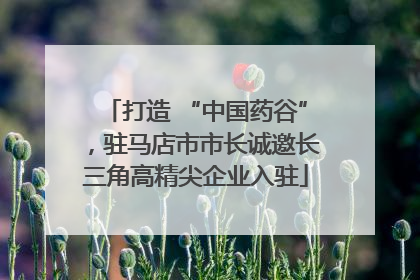 打造 “中国药谷”，驻马店市市长诚邀长三角高精尖企业入驻