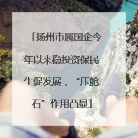 扬州市属国企今年以来稳投资保民生促发展，“压舱石”作用凸显