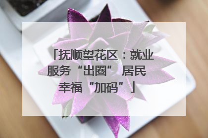 抚顺望花区：就业服务“出圈” 居民幸福“加码”