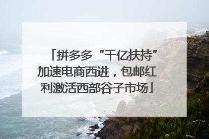 拼多多“千亿扶持”加速电商西进，包邮红利激活西部谷子市场