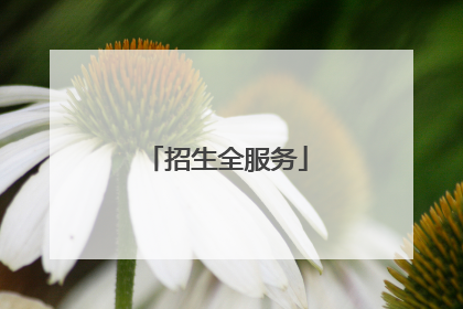 招生全服务