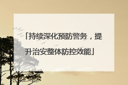 持续深化预防警务，提升治安整体防控效能