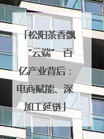 松阳茶香飘“云端” 百亿产业背后：电商赋能、深加工延链