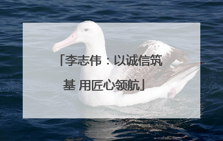 李志伟：以诚信筑基 用匠心领航
