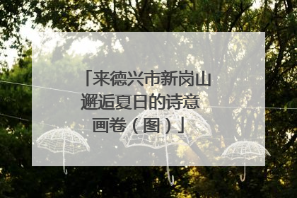 来德兴市新岗山 邂逅夏日的诗意画卷（图）
