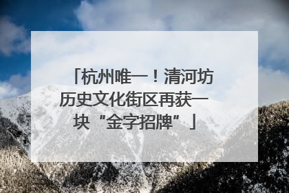 杭州唯一！清河坊历史文化街区再获一块“金字招牌”