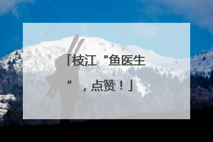 枝江“鱼医生”，点赞！
