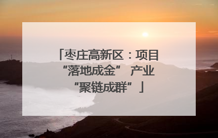 枣庄高新区：项目“落地成金” 产业“聚链成群”