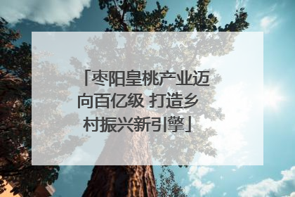 枣阳皇桃产业迈向百亿级 打造乡村振兴新引擎