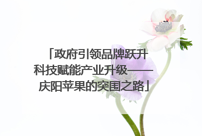 政府引领品牌跃升 科技赋能产业升级——庆阳苹果的突围之路