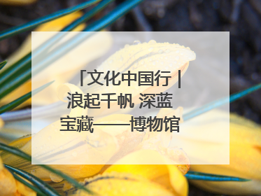 文化中国行｜浪起千帆 深蓝宝藏——博物馆里的海丝遗珍