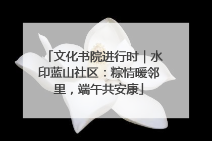 文化书院进行时｜水印蓝山社区：粽情暖邻里，端午共安康