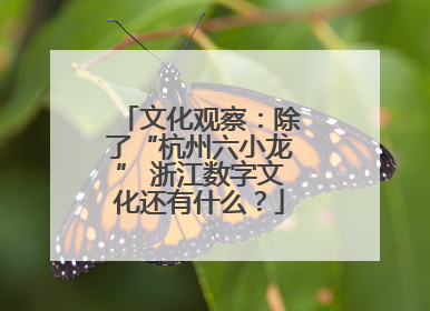 文化观察：除了“杭州六小龙” 浙江数字文化还有什么？