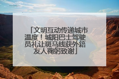 文明互动传递城市温度！城阳巴士驾驶员礼让斑马线获外籍友人鞠躬致谢