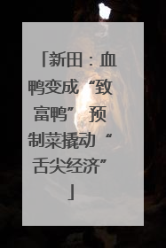 新田：血鸭变成“致富鸭” 预制菜撬动“舌尖经济”