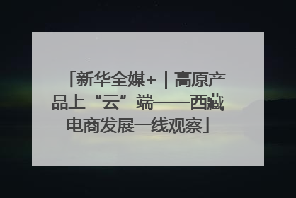 新华全媒+｜高原产品上“云”端——西藏电商发展一线观察