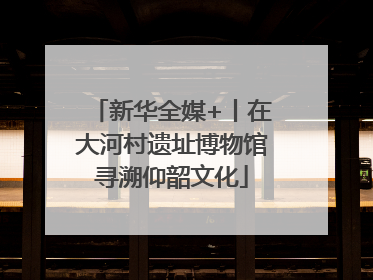 新华全媒+丨在大河村遗址博物馆寻溯仰韶文化