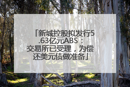 新城控股拟发行5.63亿元ABS：交易所已受理，为偿还美元债做准备