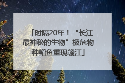 时隔20年！“长江最神秘的生物”极危物种鳤鱼重现赣江