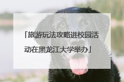 旅游玩法攻略进校园活动在黑龙江大学举办