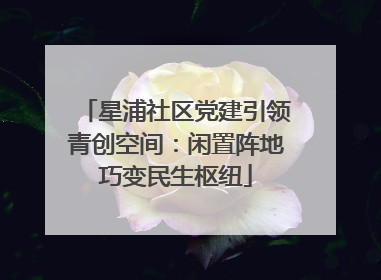 星浦社区党建引领青创空间：闲置阵地巧变民生枢纽