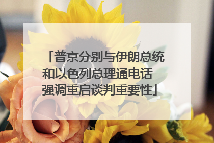 普京分别与伊朗总统和以色列总理通电话 强调重启谈判重要性
