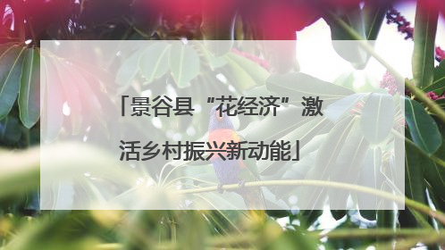 景谷县“花经济”激活乡村振兴新动能