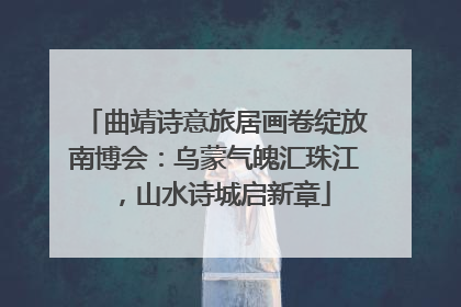 曲靖诗意旅居画卷绽放南博会：乌蒙气魄汇珠江，山水诗城启新章