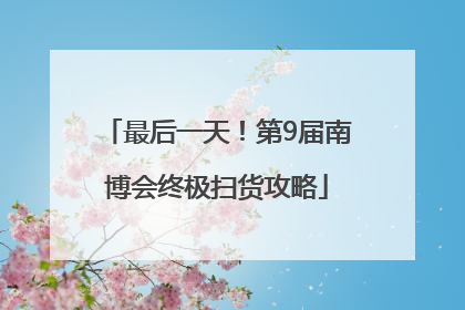 最后一天！第9届南博会终极扫货攻略