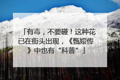 有毒，不要碰！这种花已在街头出现，《甄嬛传》中也有“科普”