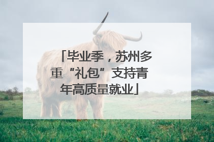 毕业季，苏州多重“礼包”支持青年高质量就业