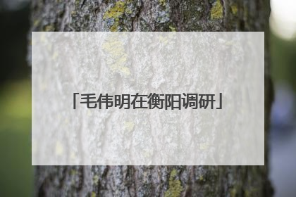 毛伟明在衡阳调研
