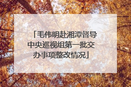 毛伟明赴湘潭督导中央巡视组第一批交办事项整改情况