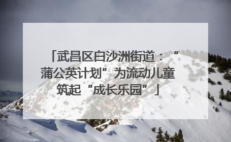 武昌区白沙洲街道：“蒲公英计划”为流动儿童筑起“成长乐园”