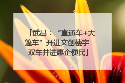 武昌：“直通车+大篷车”开进文创楼宇 双车并进惠企便民